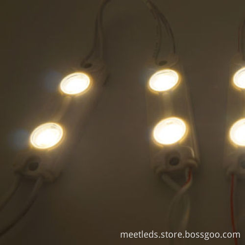 Warm White 2* SMD5730 LED Injection Module Light with 3-year Warranty